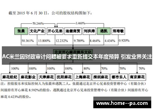 AC米兰因财政审计问题被要求重新提交本年度预算 引发业界关注