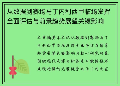 从数据到赛场马丁内利西甲临场发挥全面评估与前景趋势展望关键影响