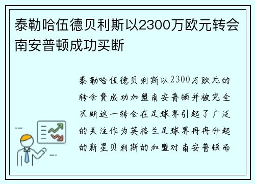 泰勒哈伍德贝利斯以2300万欧元转会南安普顿成功买断 泰勒哈伍德贝利斯以2300万欧元转会南安普顿成功买断