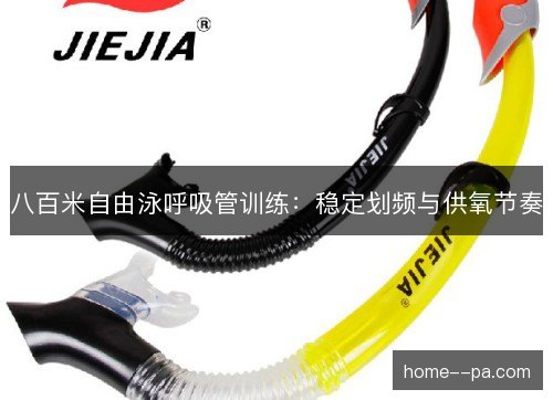 八百米自由泳呼吸管训练：稳定划频与供氧节奏